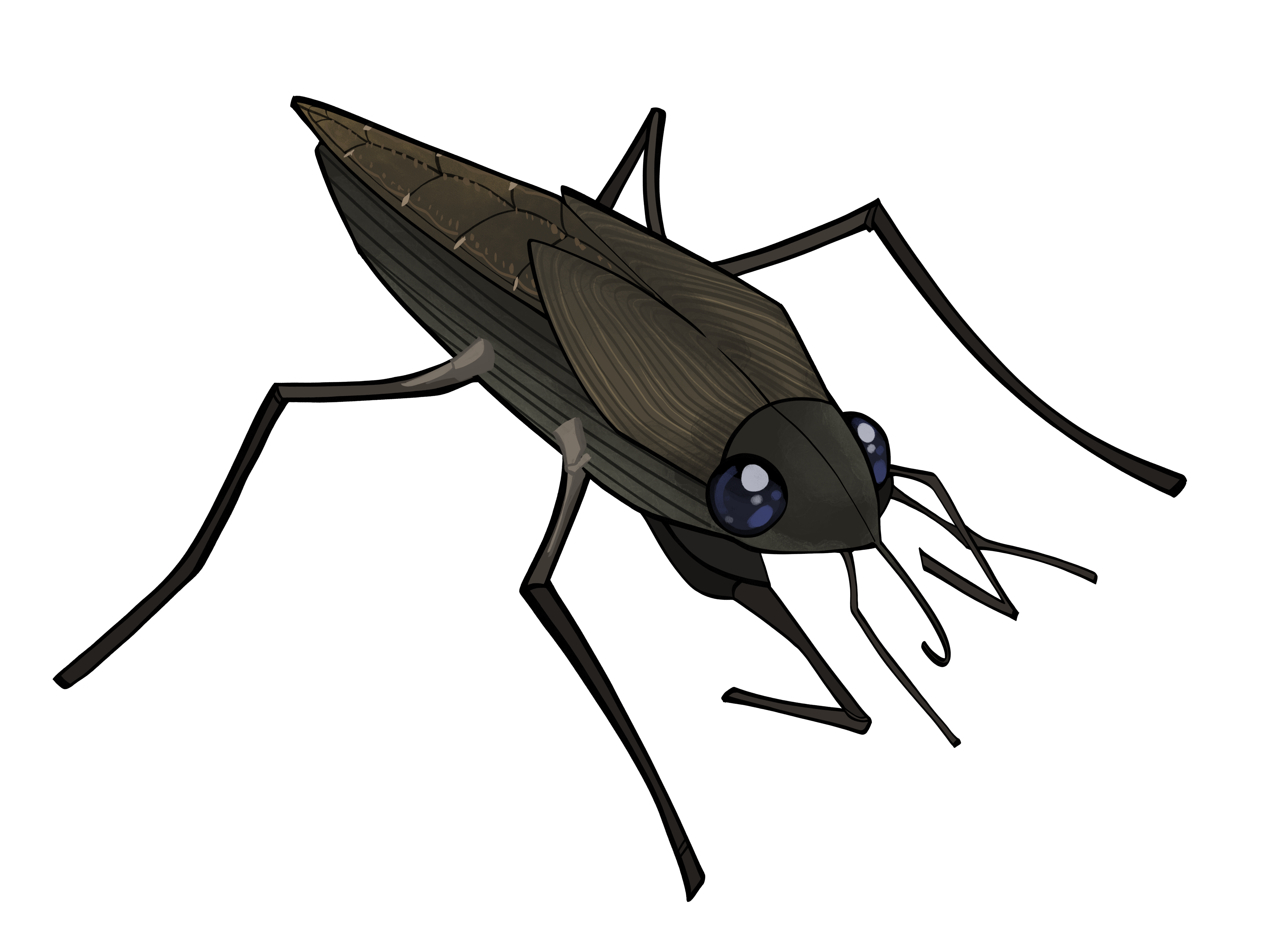 Water Strider